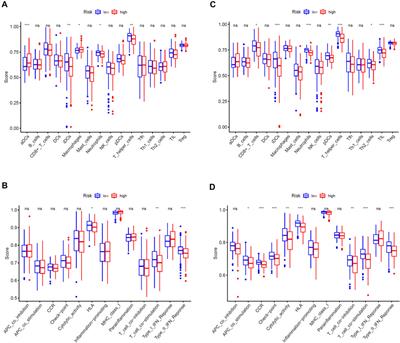 A Cholesterol Homeostasis-Related Gene Signature Predicts Prognosis of Endometrial Cancer and Correlates With Immune Infiltration